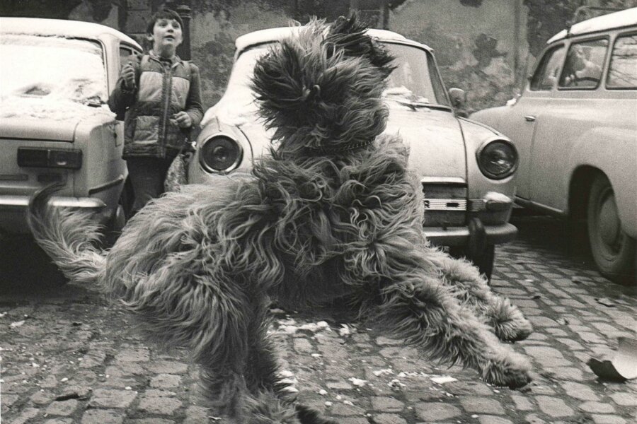 František Dostál, soubor: Psi a lidé (1975–80)